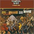 Marvin Gaye I Want You (LP)